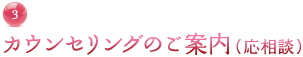 3. カウンセリングのご案内（応相談）